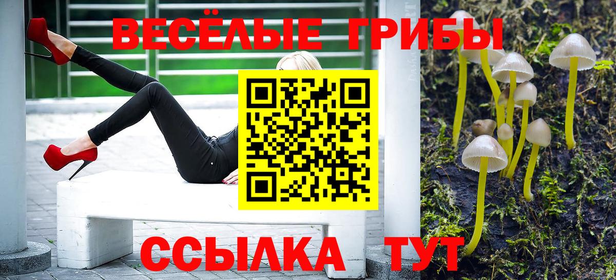 Псилоцибиновые грибы MAGIC MUSHROOMS  Галлюциногенные грибы MAGIC MUSHROOMS  Астрахань  Вход с VPN 