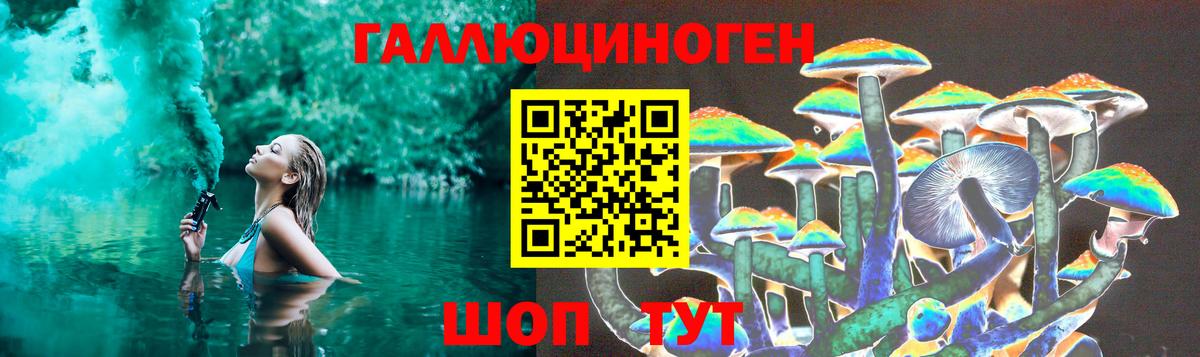 Псилоцибиновые грибы Psilocybe Астрахань